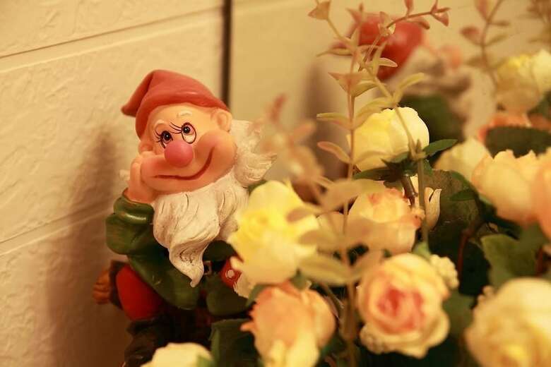 Hotel Dora's World
