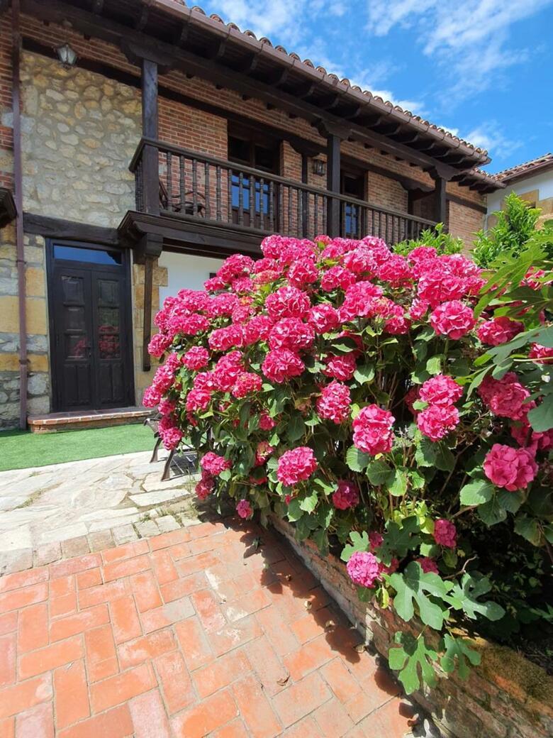 Hostal Posada Alfonso