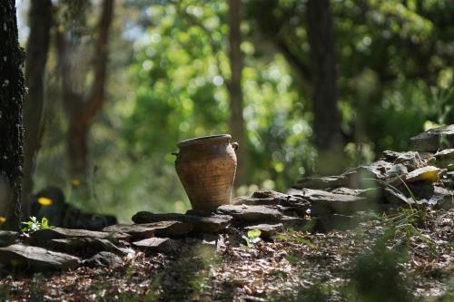Valle Del Arroyo Casas Rurales - Bed & Breakfast