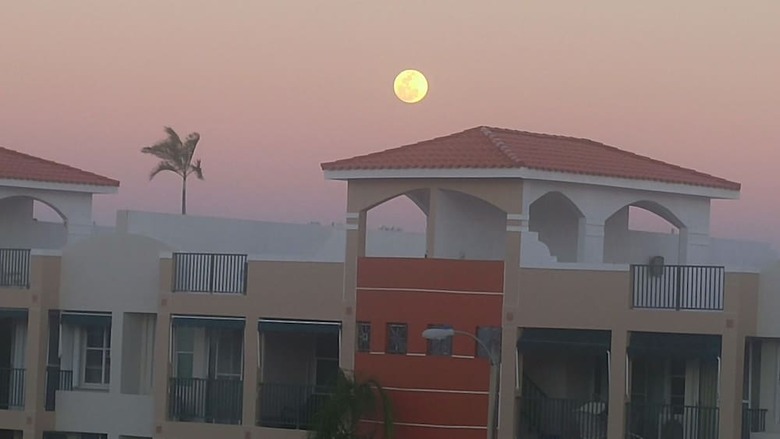 Apartamentos Beach Penthouse