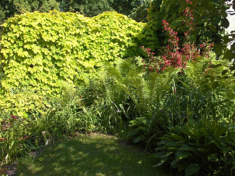Schlosspark Ferienwohnungen Rheinsberg