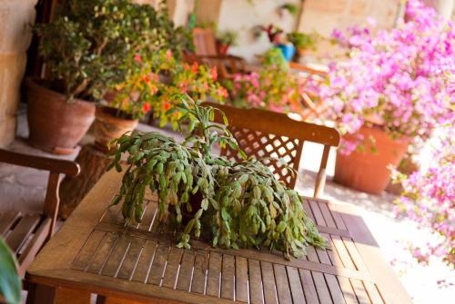 Hostal Casa Velarde