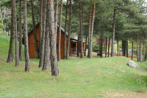 Camping Fontfreda