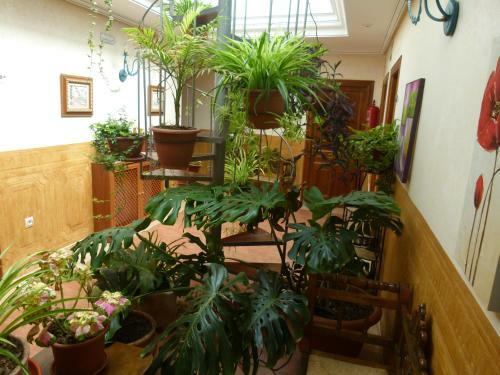 Hotel Paqui