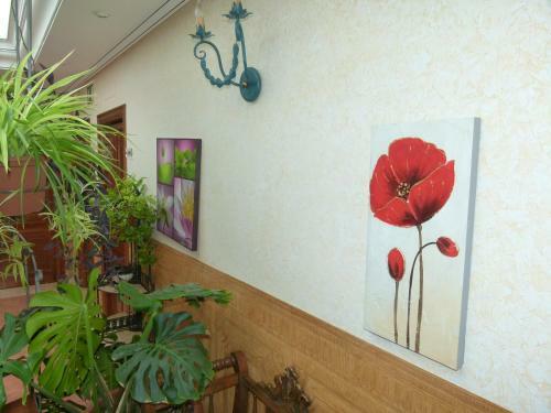 Hotel Paqui