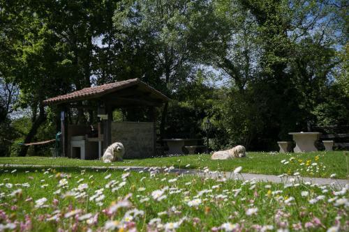 Hostal Aldea Os Mui�os
