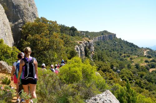 Camping Serra De Prades