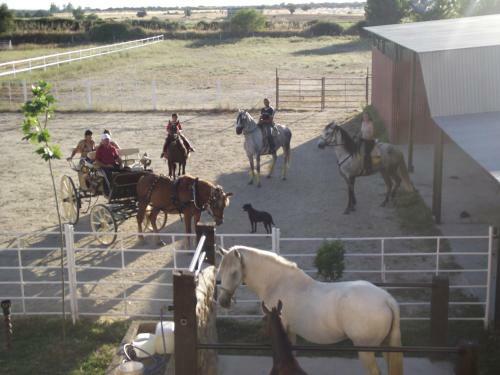 Hostal La Posada H�pica