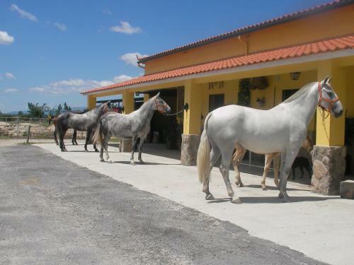 Hostal La Posada H�pica