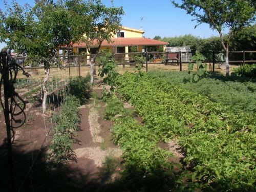 Hostal La Posada H�pica