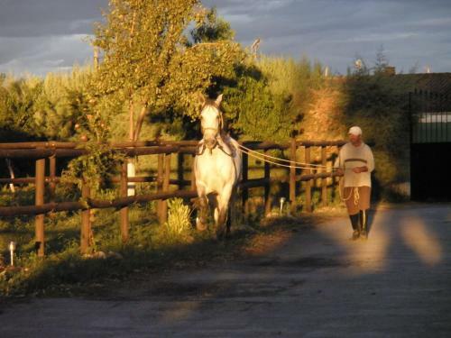 Hostal La Posada H�pica