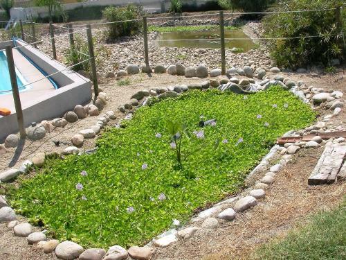 Hostal La Posada H�pica