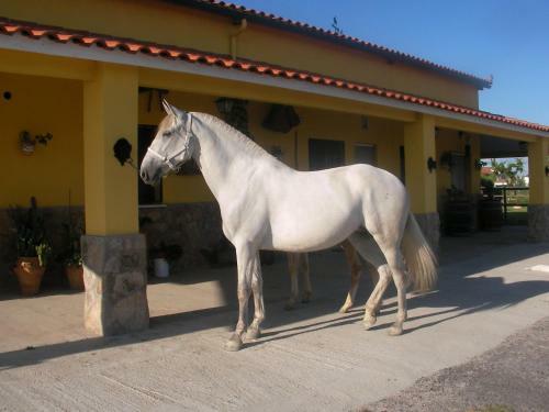 Hostal La Posada H�pica