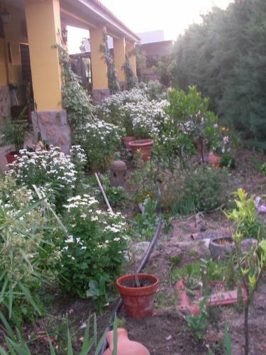 Hostal La Posada H�pica