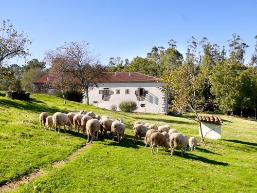 Hostal A Pena De Augasantas