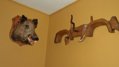 Hostal Ca De Graus