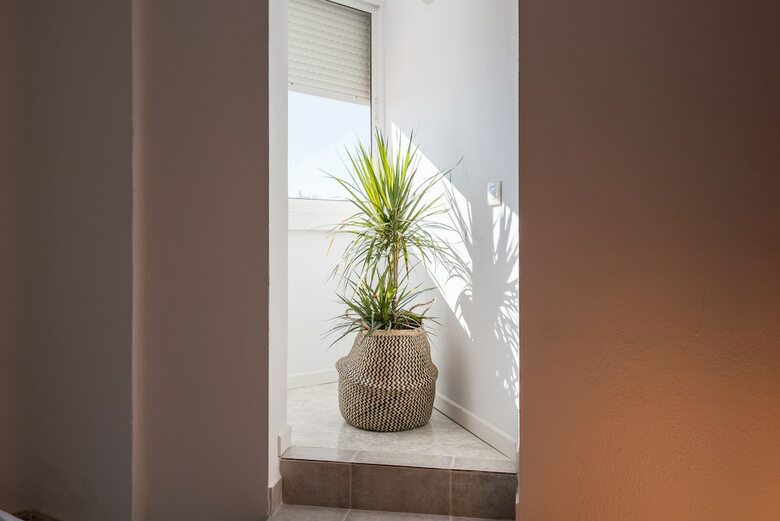 Apartamentos Malagasuite City Center Arango