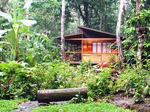 Bed & Breakfast El Tucan Jungle Lodge