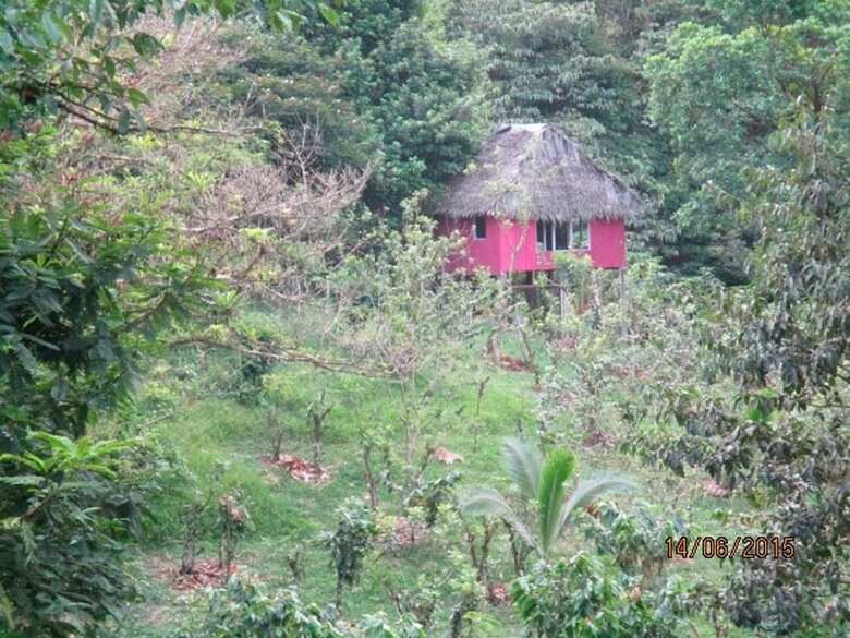 Cabana Vanilla Jungle Lodge - Bed & Breakfast