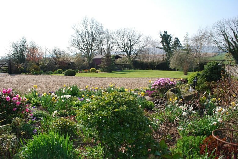 Moor View Bed And Breakfast