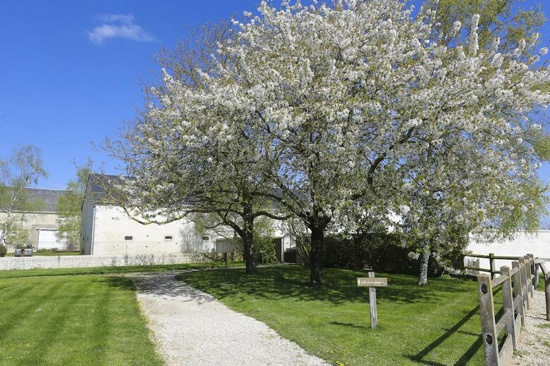Bed & Breakfast Le Domaine de La Fouardi�re