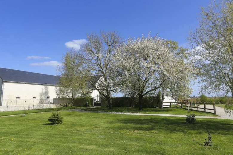 Bed & Breakfast Le Domaine de La Fouardi�re
