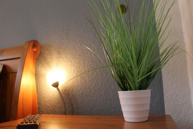 Apartamentos Berta L�neburg
