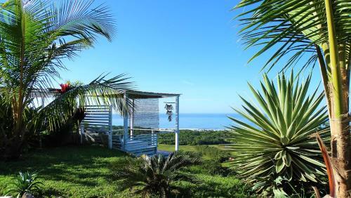 Bed & Breakfast La Colina Pura Vista
