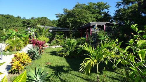 Bed & Breakfast La Colina Pura Vista
