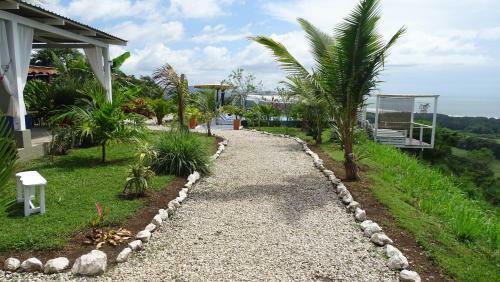 Bed & Breakfast La Colina Pura Vista