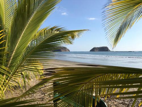 Hostal Fenix Hotel - On The Beach
