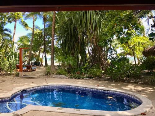 Hostal Fenix Hotel - On The Beach