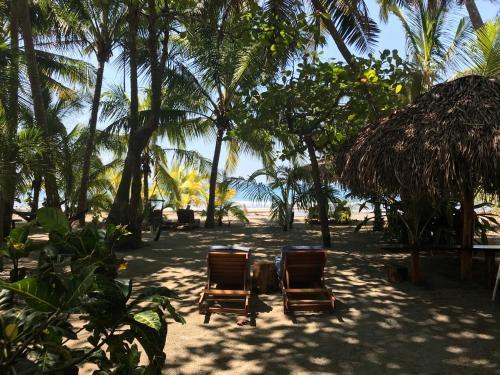 Hostal Fenix Hotel - On The Beach