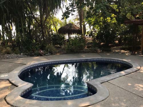 Hostal Fenix Hotel - On The Beach