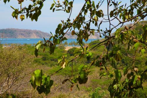 Hotel Lodge Las Ranas