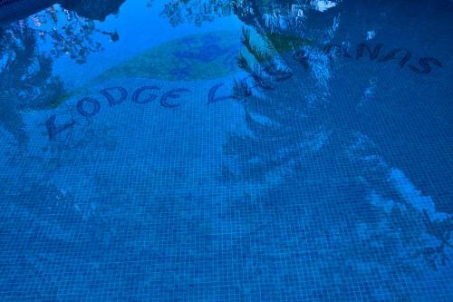 Hotel Lodge Las Ranas