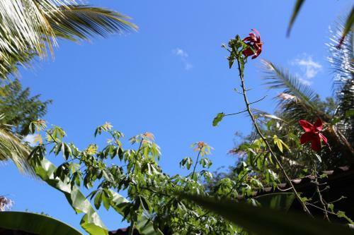 Bed & Breakfast Quinta Esencia