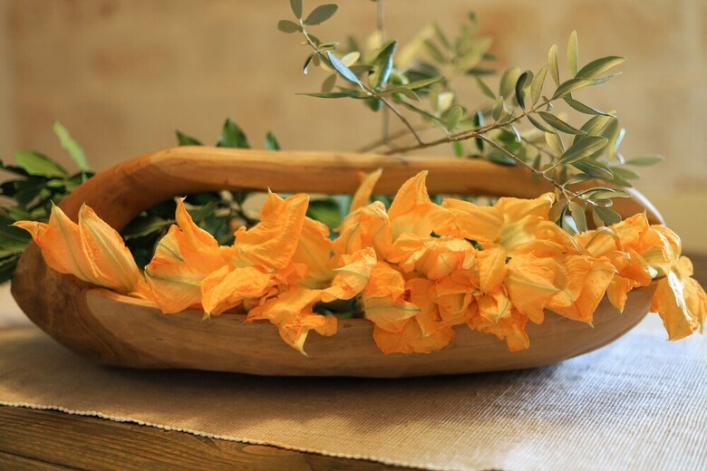 Villa Casale Terranova