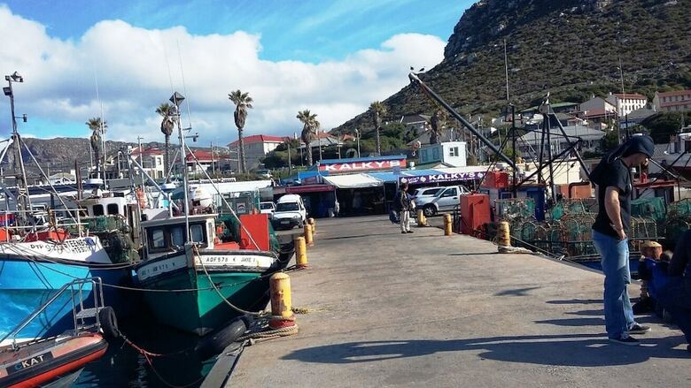 Apartamentos Canary Cottages