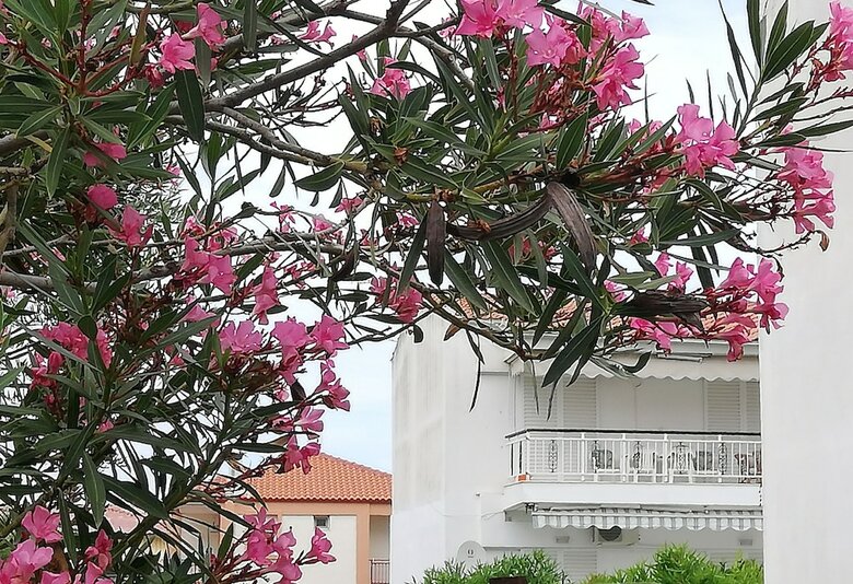 Hanioti Apartment