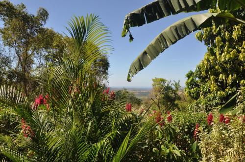 Bed & Breakfast Tiriguro Lodge