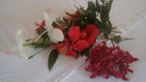 Hostal Pousada Da Lua S�o Pedro
