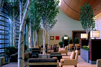 Hotel Westin Waterfront