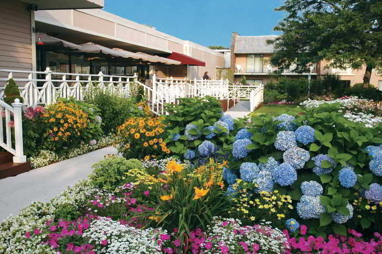 Hotel Cape Codder Resort