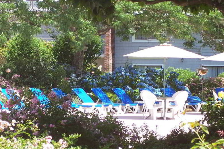 Hotel Cape Codder Resort