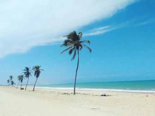 Hostal Hotel E Pousada Tropical Wind Do Cumbuco