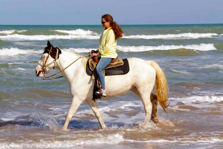Sea Dancer 9