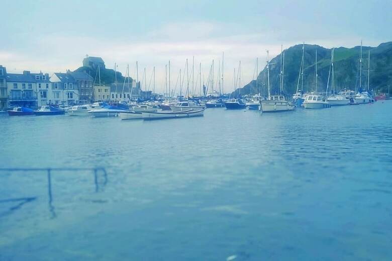 The Hollies Harbour View