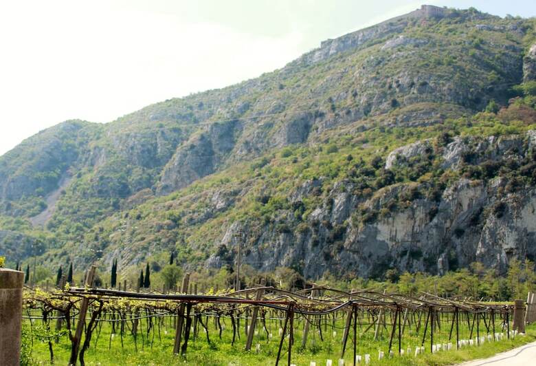 Bed & Breakfast El Truciolo