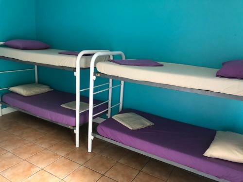Hostal Darwin Hostel